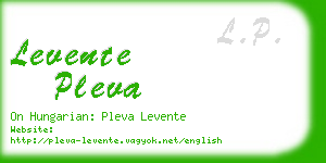 levente pleva business card